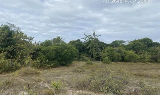 Imóvel 2275484 ['IDR184642'] - ["Estrada do Abais, s/n, Quadra 104, Lote 24, Loteamento Vila Rica do Abais, Itaporanga D'Ajuda, SE, 49120-000"] [''] - ["Itaporanga D'Ajuda"]/['SE'] - 1