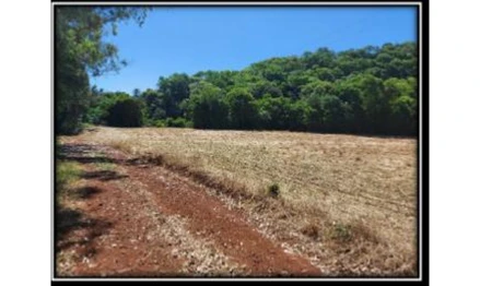 Terreno em Marau, Maria, Linha Anita Garibaldi, no Distrito de Maria, RS. Área: 152091.5m2