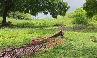 Imóvel 2645884 [''] - ['Loteamento Dois Irmãos, Dois irmãos, Palmares/PE'] [''] - ['Palmares']/['PE'] - 1