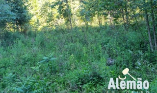 Imóvel 2660984 [''] - ['Rincão de Nossa Senhora, Fontoura Xavier'] ['Ipiranga'] - ['Soledade']/['RS'] - 1