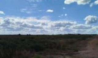 Imóvel 2856084 [''] - ['Lote Rural nº 58, Parcela 03 - Remanescente, Linha 135, Setor 12, Gleba Corumbiara'] [''] - ['Vilhena']/['RO'] - 1