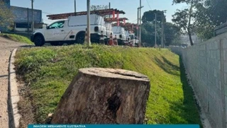 Imóvel 2679584 [''] - ['Rua Hans Christian Andersen, 12, Cidade Dutra, São Paulo, SP'] ['Cidade Dutra'] - ['São Paulo']/['SP'] - 1