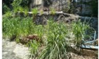 Imóvel 2681684 [''] - ['Rua Flack, n 49'] ['Riachuelo'] - ['Rio de Janeiro']/['RJ'] - 1