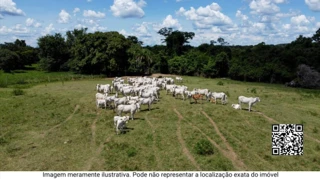 Imóvel 2316184 [''] - ['GLEBA DE TERRAS - Área de 2,42 hectares (24.200m²), parte ideal da Fazenda da Máquina, Zona Rural'] [''] - ['Guaxupé']/['MG'] - 1