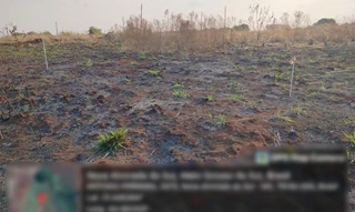 Imóvel 2602684 [''] - ['Rua Domingo Bitencourt da Silveira 3.485 (Lote 07 da Quadra 105)'] [''] - ['Nova Alvorada Do Sul']/['MS'] - 1