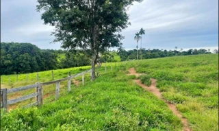 Imóvel 2697384 [''] - ['Fazenda Princesa do Rio dos Bois'] [''] - ['Iporá']/['GO'] - 1