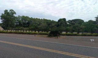 Imóvel 2976385 [''] - ['Estrada Vicinal, s/nº - Área Rural, denominada Fazenda Salto - Zona Rural - Cassilândia / MS'] [''] - ['Cassilândia']/['MS'] - 1