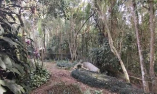 Imóvel 2723185 [''] - ['Rua Rouxinol, 90 - Jardim Nova Cotia - Itapevi - SP'] ['Transurb'] - ['Itapevi']/['SP'] - 1