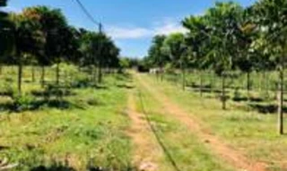 Imóvel 2536685 [''] - ['Gleba Rosana, parte do lote 71 e 72, Secção B'] [''] - ['Rosana']/['SP'] - 1