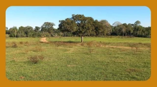 Imóvel 3042285 [''] - ['Parte da Fazenda Barreiro Preto, Caracol/MS CEP 79.270-063'] [''] - ['Caracol']/['MS'] - 1