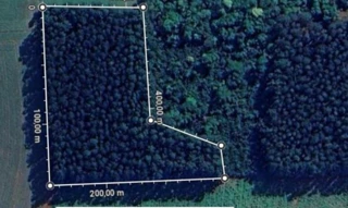 Imóvel 2558585 [''] - ['Fazenda Faxinal do Tigre'] [''] - ['Guatambú']/['SC'] - 1