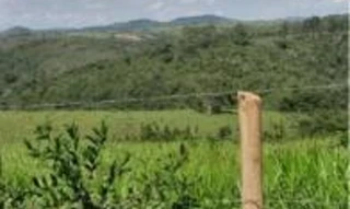 Imóvel 3052585 [''] - ['Fazenda Fragata ou Nau de Guerra, Zona Rural'] [''] - ['Tiros']/['MG'] - 1