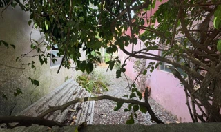 Imóvel 2676485 [''] - ['Rua Santa Cruz, 891'] ['Sete de Setembro'] - ['São Lourenço Do Sul']/['RS'] - 1