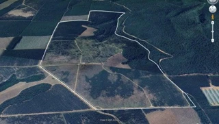 Imóvel 2646485 [''] - ['Horto Florestal Empax, Cerro, Angatuba, SP'] [''] - ['Angatuba']/['SP'] - 1