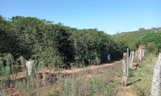 Imóvel 3093385 [''] - ['Córrego da Roseira, s/n, Zona Rural, Caiana/MG, CEP 36832-000'] [''] - ['Caiana']/['MG'] - 1