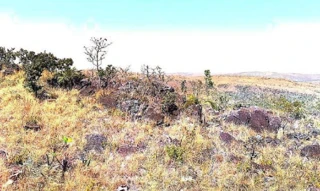 Imóvel 2598985 [''] - ['Fazenda Serra Dourada IV'] [''] - ['Vila Bela Da Santíssima Trindade']/['MT'] - 1