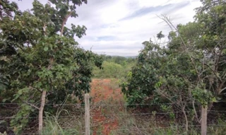 Imóvel 2595285 [''] - ['Rua Portugal, s/n, Quadra 07, Lote 04, Garden Ville, Caetanópolis, MG, 35770-000, , Caetanópolis/MG'] [''] - ['Caetanópolis']/['MG'] - 1