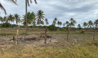 Imóvel 2961885 [''] - ["Estrada do Abais, s/n, Quadra 104, Lote 28, Loteamento Vila Rica do Abais, Itaporanga D'Ajuda, SE, , Itaporanga dAjuda/SE"] [''] - ["Itaporanga D'Ajuda"]/['SE'] - 1