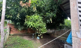 Imóvel 2595085 [''] - ['Rua Dona Zita,'] [''] - ['Anori']/['AM'] - 1