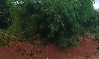 Imóvel 2572685 [''] - ['Rua Martin de Sá'] [''] - ['Campo Grande']/['MS'] - 1