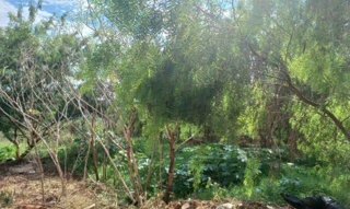 Imóvel 2655285 [''] - ['Londrina/PR'] [''] - ['Londrina']/['PR'] - 1