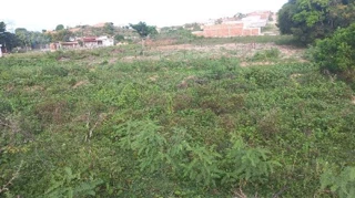 Imóvel 2650485 ['8444431691291'] - ['AVENIDA SANEAMENTO 1,N. SN LT 38-C QD 20, SANTA INES - CEP: 49158-127, NOSSA SENHORA DO SOCORRO - SERGIPE'] [''] - ['Nossa Senhora Do Socorro']/['SE'] - 1