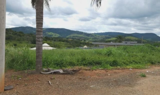 Imóvel 2937985 [''] - ['Alameda do Jatobá, s/n, Loteamento Residencial Ecológico Campo Das Vert, Carmópolis de Minas, MG, 35534-000'] [''] - ['Carmópolis De Minas']/['MG'] - 1