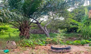 Imóvel 2596685 [''] - ['Nao informado Nao informado'] [''] - ['Conde']/['PB'] - 1