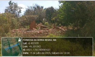 Imóvel 2967385 [''] - ['Fazenda Camassari, da Data, Buriti da Areia'] [''] - ['Formosa Da Serra Negra']/['MA'] - 1