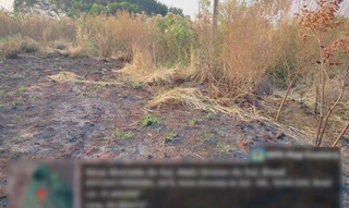 Imóvel 2602685 [''] - ['Rua Domingo Bitencourt da Silveira 3.495 (Lote 06 da Quadra 105)'] [''] - ['Nova Alvorada Do Sul']/['MS'] - 1