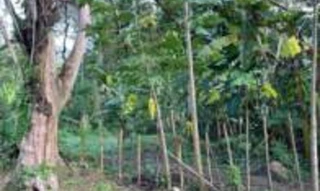 Imóvel 2707785 [''] - ['Estrada da Limeira'] [''] - ['São Sebastião']/['SP'] - 1