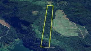 Imóvel 2854285 [''] - ['localidade de Tenente, município de Jacinto Machado, Turvo/SC'] [''] - ['Turvo']/['SC'] - 1