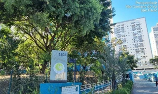 Imóvel 2845586 ['8555533921930'] - ['AVENIDA DOUTOR FRANCISCO MESQUITA,N. 1205 APTO. 83 TORRE B, HIS-2, QUINTA DA PAINEIRA - CEP: 03153-002, SAO PAULO - SAO PAULO'] ['Q.ta da Paineira'] - ['São Paulo']/['SP'] - 1