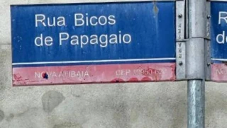 Imóvel 3059786 [''] - ['Rua Bicos de Papagaio, 135, Nova Cerejeira, Atibaia, SP'] ['Caetetuba'] - ['Atibaia']/['SP'] - 1