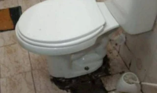 Imóvel 2686186 [''] - ['Elias Monteiro Cardoso, 99, Vila Clara, São Paulo/SP'] ['Vila Curuçá Velha'] - ['São Paulo']/['SP'] - 1