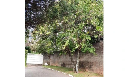 Casa em Carapicuíba, Nova Fazendinha, Avenida dos Oitis s/n, SP. Área: 1493.62m2 - imagem 0