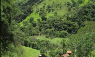Imóvel 2918386 [''] - ['Fazenda Agua Limpa, confrontando com filhos de Orestes Portugal e com a BR -265'] [''] - ['Boa Esperança']/['MG'] - 1
