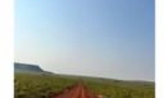 Imóvel 2484286 [''] - ['Km 90 da Vicinal via Povoado Figuras'] [''] - ['Alto Parnaíba']/['MA'] - 1