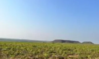 Imóvel 2484286 [''] - ['Km 90 da Vicinal via Povoado Figuras'] [''] - ['Alto Parnaíba']/['MA'] - 1