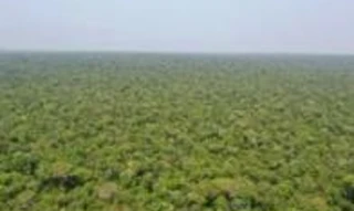 Imóvel 2968486 [''] - ['Fazenda Bataguassu II'] [''] - ['Nova Ubiratã']/['MT'] - 1