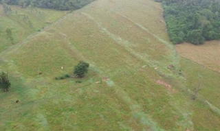 Imóvel 2961186 [''] - ['Lote n 184/185-B-2, Gleba Safiras, CEP 87540-000'] [''] - ['Pérola']/['PR'] - 1