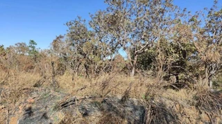 Imóvel 2539586 [''] - ['Rua 64'] ['Jardim Jussara'] - ['Caldas Novas']/['GO'] - 1