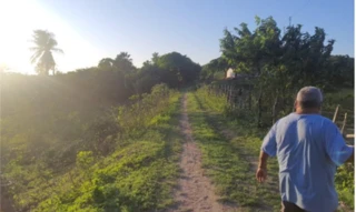 Imóvel 2690986 [''] - ['Terreno situado na Rodovia CE-065'] [''] - ['Maranguape']/['CE'] - 1