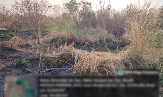 Imóvel 2602686 [''] - ['Rua Domingo Bitencourt da Silveira 3.505 (Lote 05 da Quadra 105)'] [''] - ['Nova Alvorada Do Sul']/['MS'] - 1