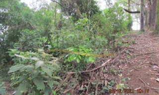 Imóvel 2576686 [''] - ['Rua Mato Grosso, s/n - Batistini - São Bernardo do Campo - SP'] ['Batistini'] - ['São Bernardo Do Campo']/['SP'] - 1