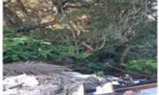 Imóvel 2588286 [''] - ['Rua Maria Eugênia Souza Cortês, ao final da Rua Maria Eugênia Souza Cortês, no Santo Antônio'] ['Santo Antônio'] - ['São José Dos Pinhais']/['PR'] - 1