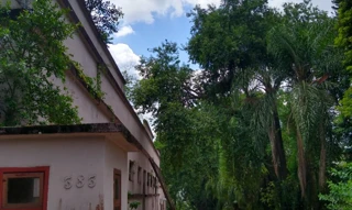 Imóvel 2695886 [''] - ['ao norte da Praça Anita Garibaldi'] ['Centro'] - ['Urussanga']/['SC'] - 1