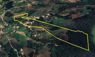 Imóvel 2632886 [''] - ['Sítio Joaquim Pinto, - Ubaporanga - MG'] [''] - ['Ubaporanga']/['MG'] - 1