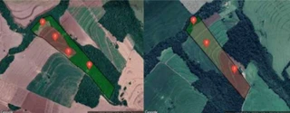 Imóvel 2942386 [''] - ['Lote 25 RC e 25 RE Gleba nº 01, Colônia Goioerê'] [''] - ['Araruna']/['PR'] - 1