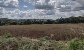 Imóvel 3042986 [''] - ['Lote rural, n°26, da Gleba n°77-FB, da Colônia das Missões'] [''] - ['Enéas Marques']/['PR'] - 1